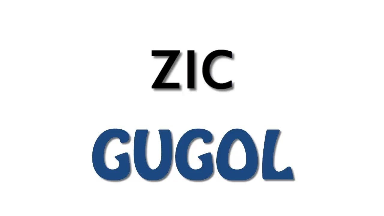 Zic - Gugol (Lyric Video)