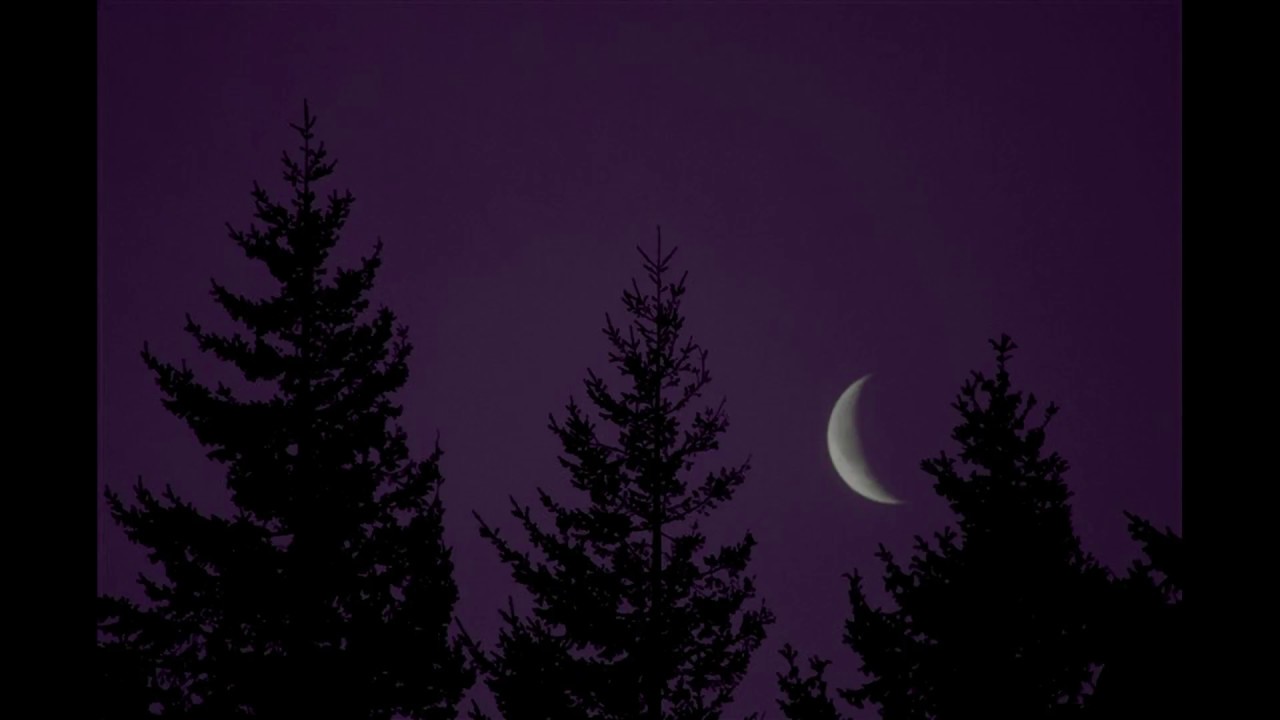 Sono ReVera - Moonlight Lullaby [Prod. Nayz]