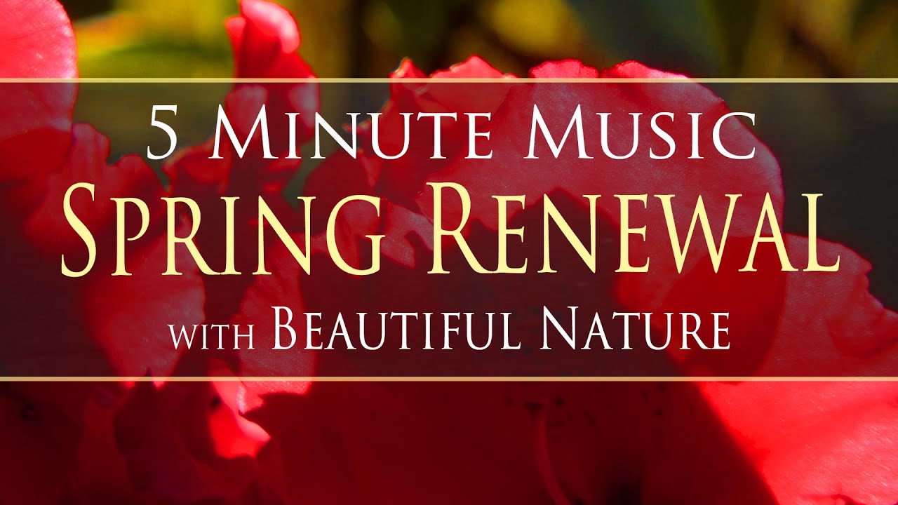 5 Minute Zen Relaxing Music 🧘🏻‍♀️ with Spring Renewal Nature Footage 🌼🌸🌷🌿