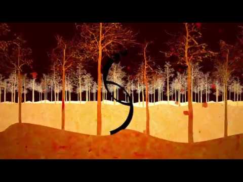 Forest Knot - 100% (feat. Crocodile Scissor Cut) (Audio)
