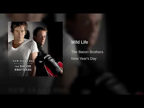 The Bacon Brothers - Wild Life