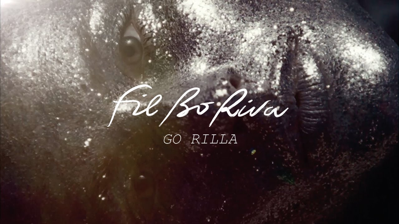 FIL BO RIVA - Go Rilla (Official Video)