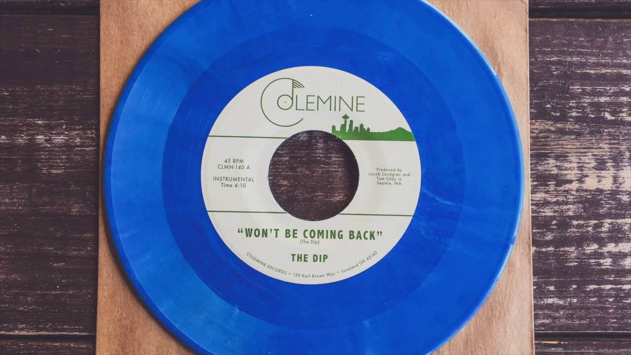 The Dip - Won't Be Coming Back / Chanterelle