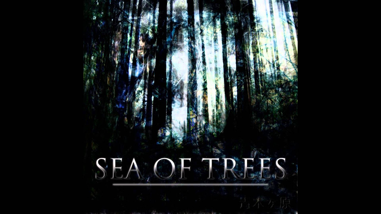 Sea of Trees - Weep in Vein (ft. J.T. Cavey)