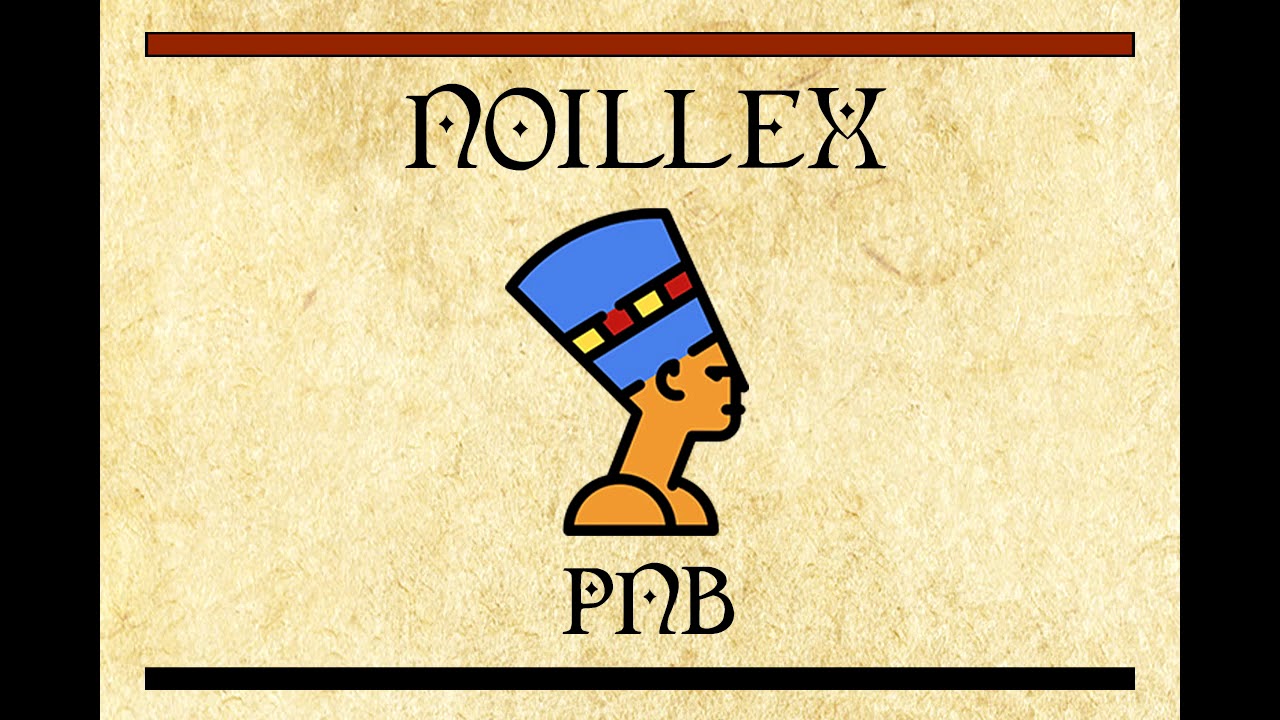 NOILLEX - Pnb