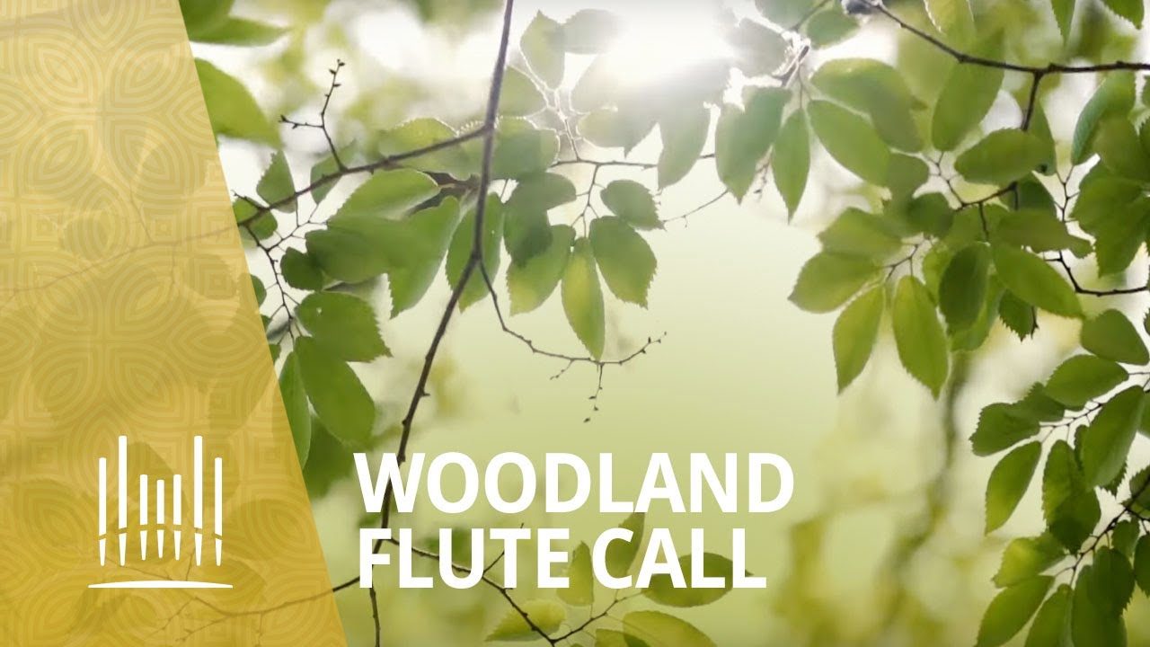 Woodland Flute Call | The Tabernacle Choir