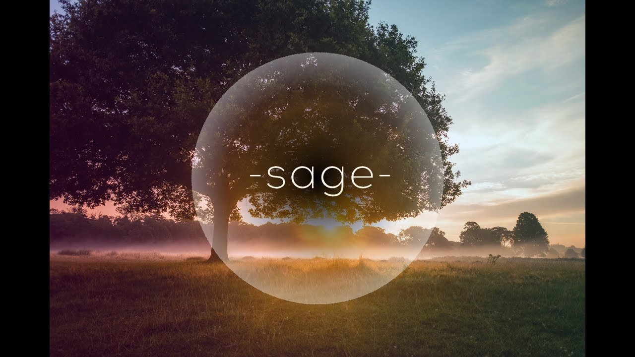 Sage - What Will You