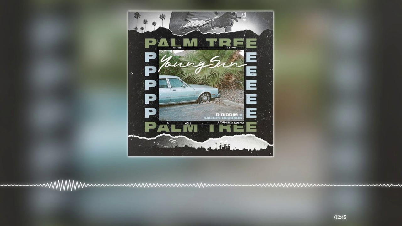 YoungSun & D'Riddim ft. Kaliope Records - Palm Tree
