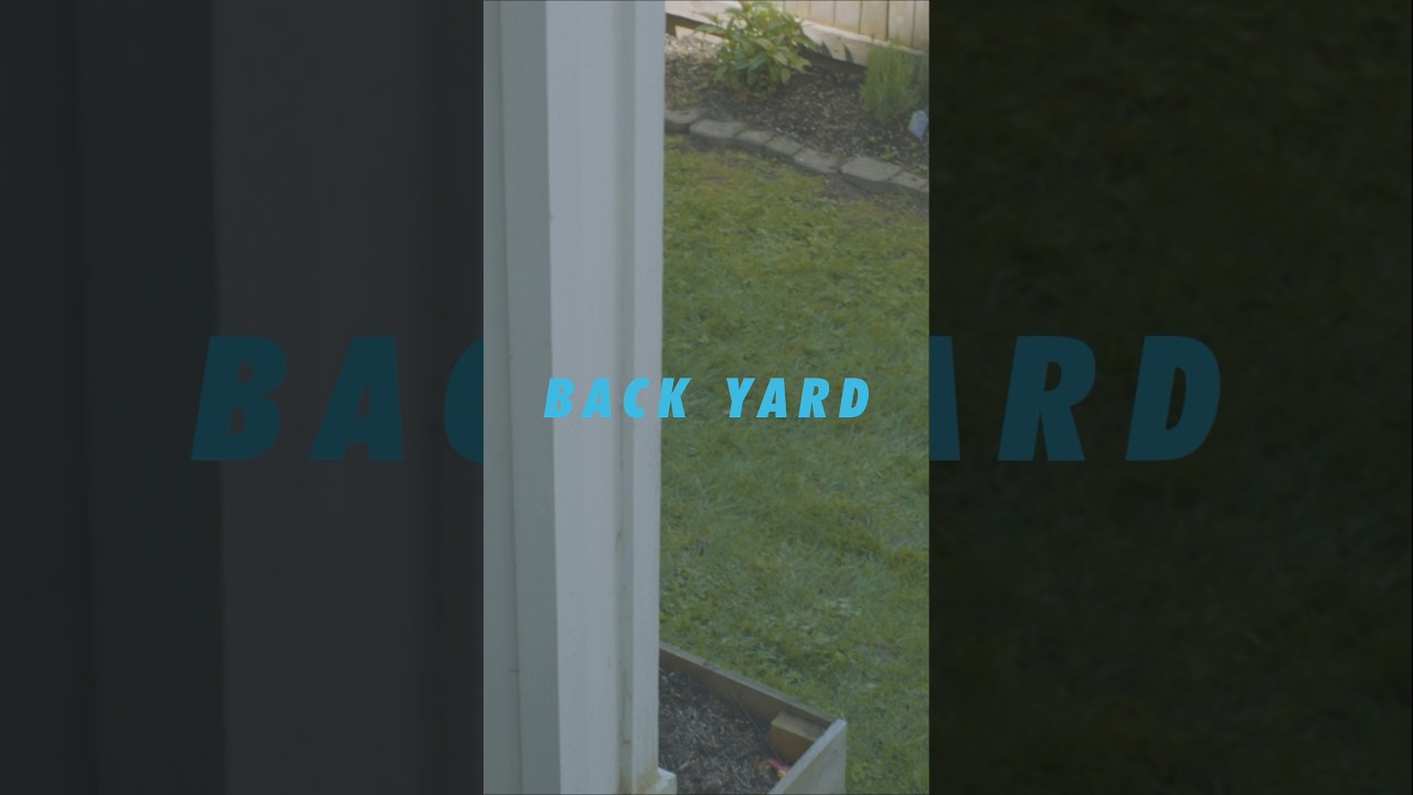 Back yard (feat Andy Shauf & Sam Wilkes) is out on Wednesday! #newmusic #musicvideo #film