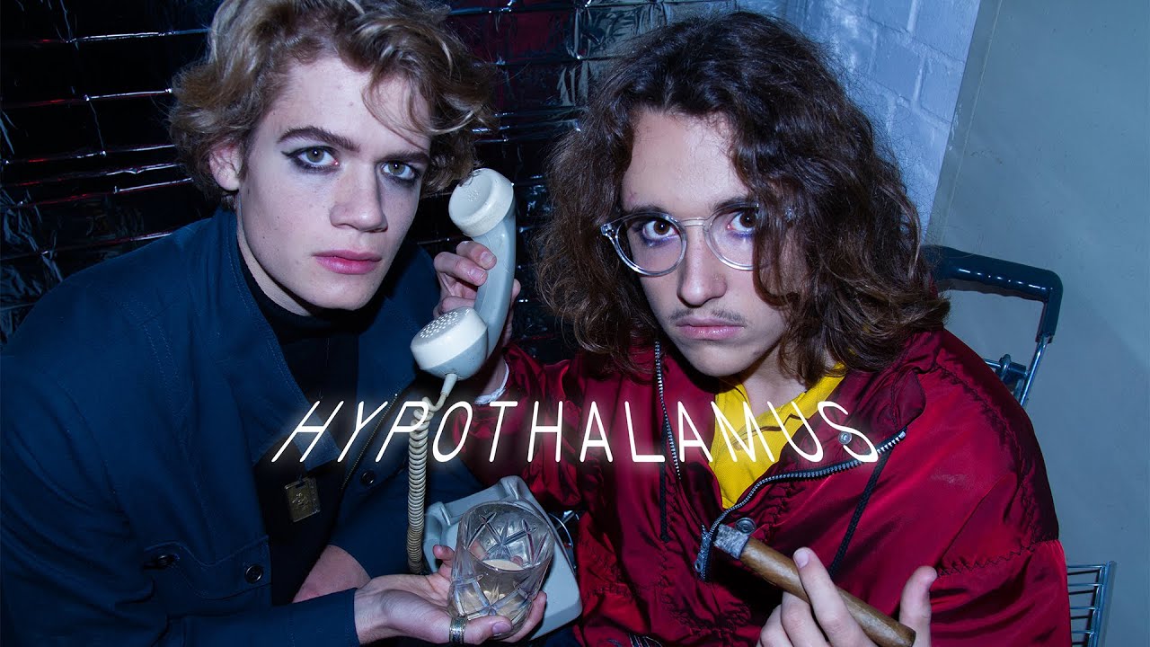 Hypothalamus (Blur) - PANORAMA //Official Video