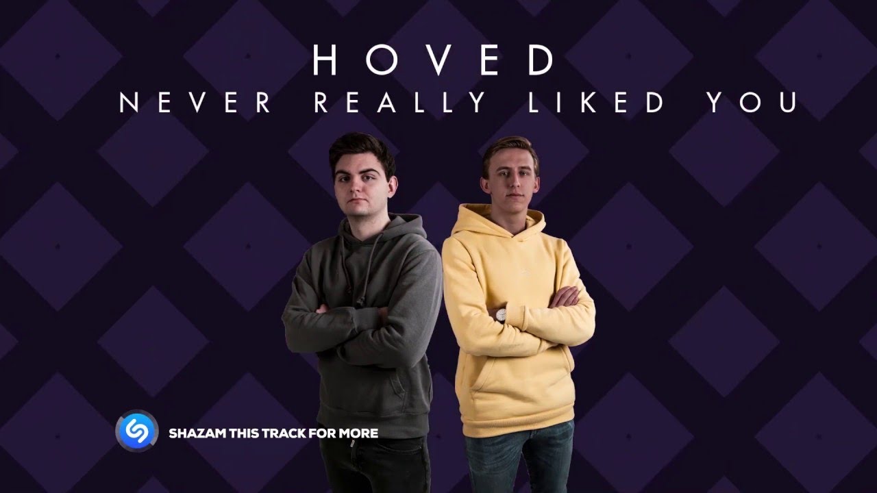 Hoved - Never Really Liked You [Big & Dirty Records]
