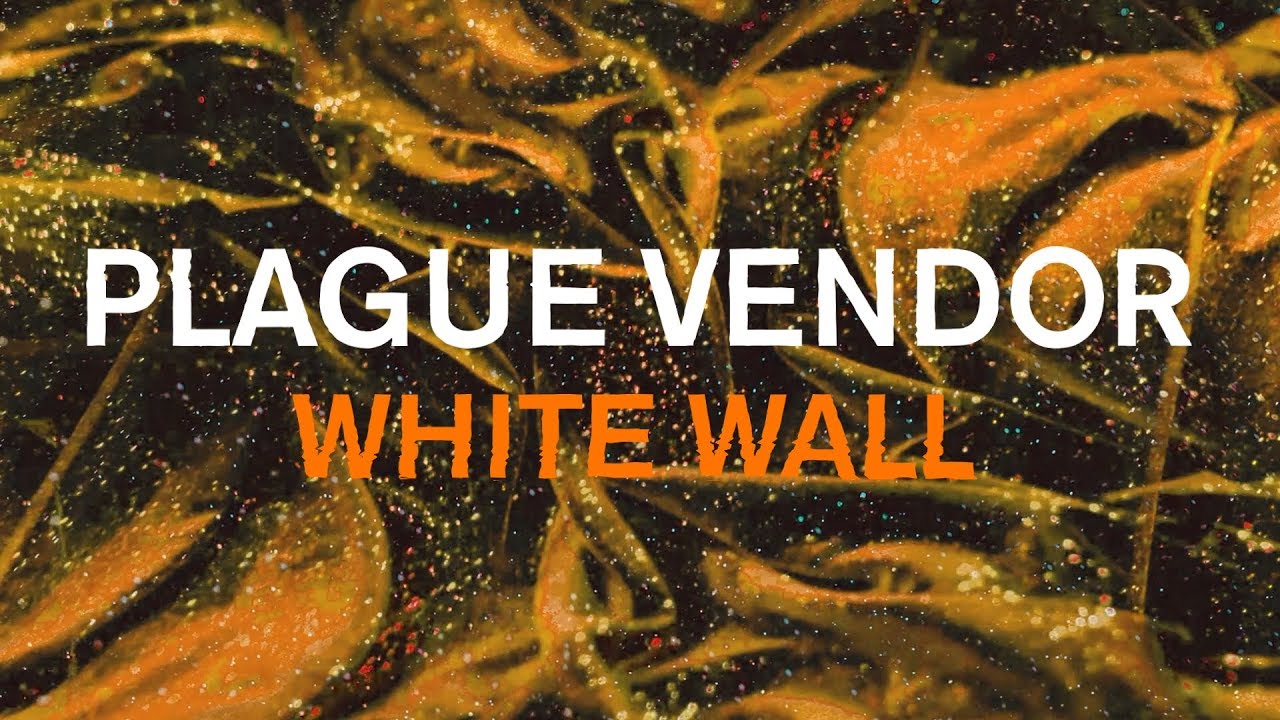 Plague Vendor - "White Wall" (Lyric Video)