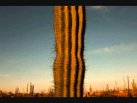 Carlos Chávez: Paisajes Mexicanos (Variaciones sinfónicas) (1973)
