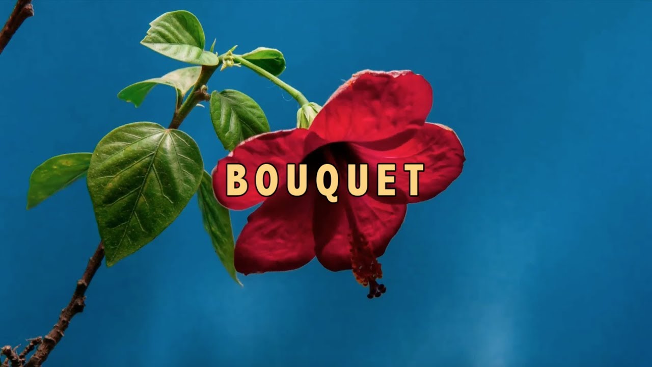 Telltale - Bouquet (OFFICIAL LYRIC VIDEO)