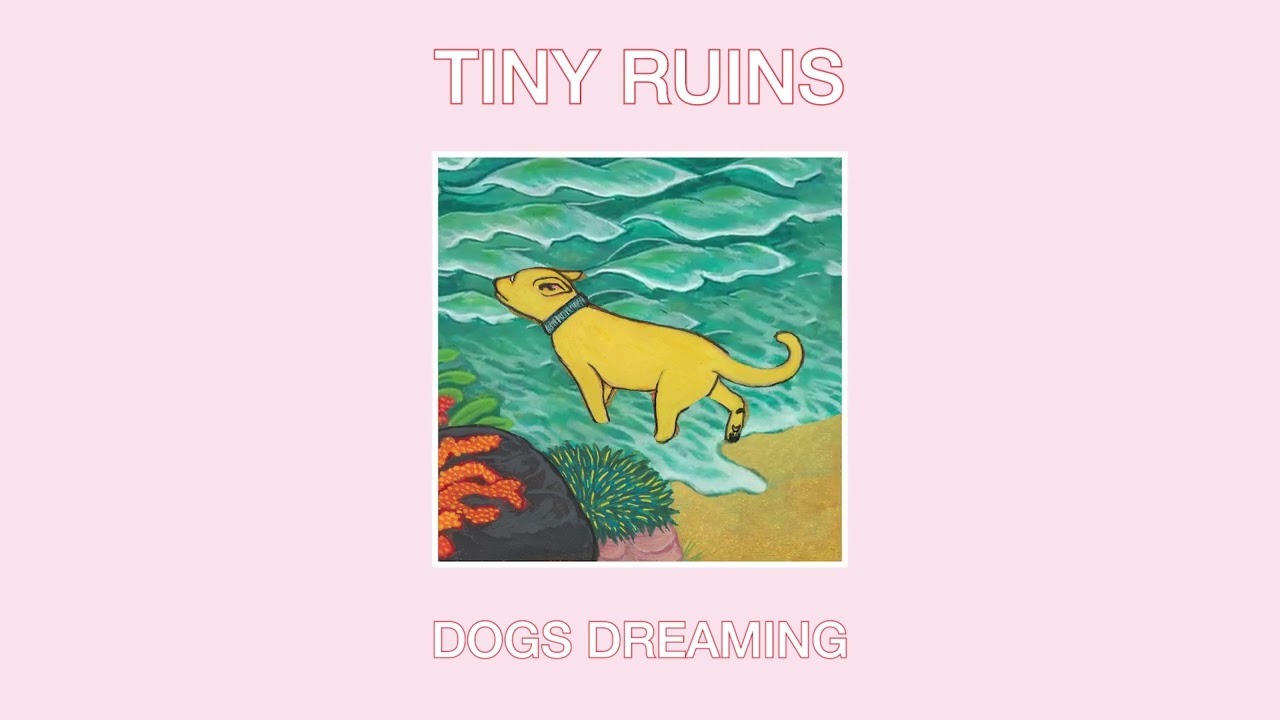 Tiny Ruins - Dogs Dreaming - Visualiser
