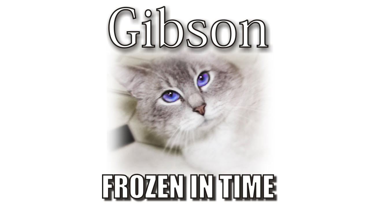 Gibson's Memorial - Frozen In Time