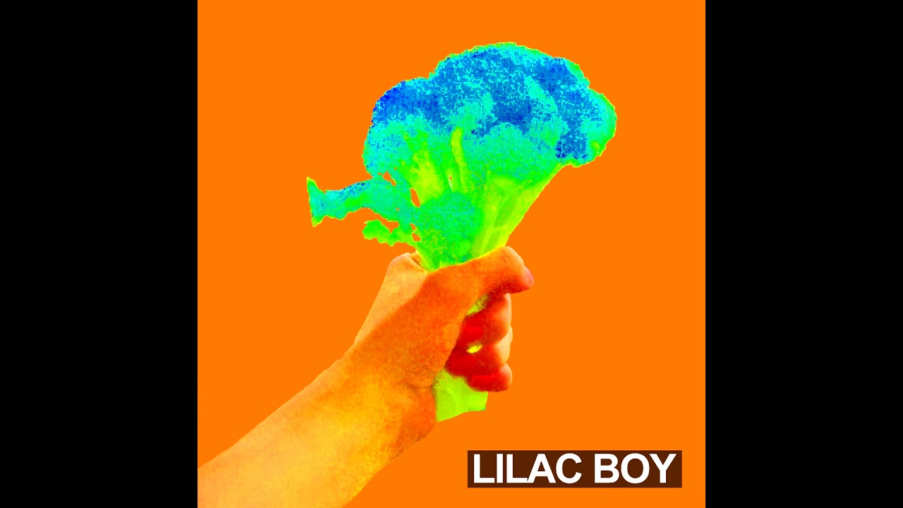 Lilac Boy - Tiger Blossom