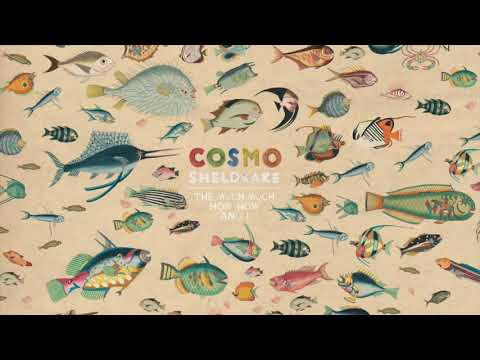 Cosmo Sheldrake - Mind of Rocks (Instrumental)