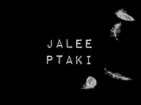 Jalee - Ptaki (Official Audio)