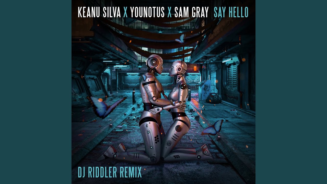 Say Hello (DJ Riddler Mix)