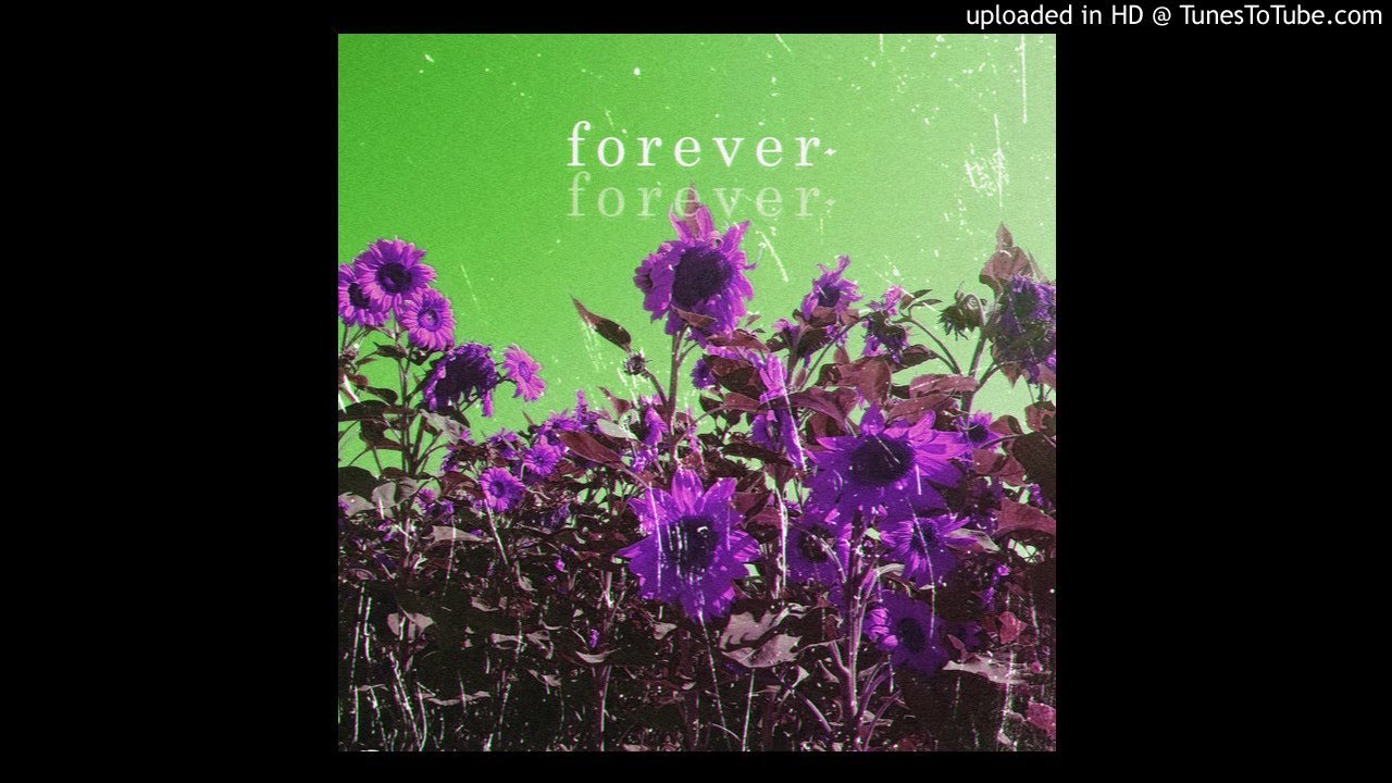deadsox ☆ - forever
