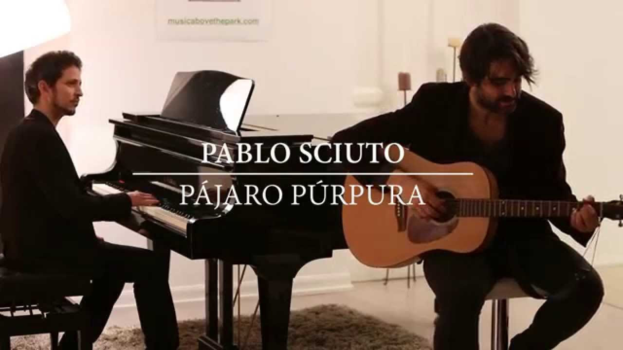 Pablo Sciuto - Pájaro Púrpura (Acústico en Music Above the Park)