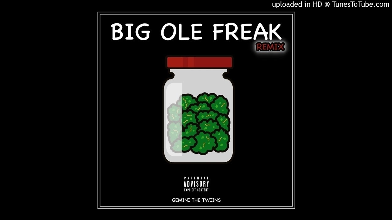 Gemini The Twiins - Big Ole Freak (remix)