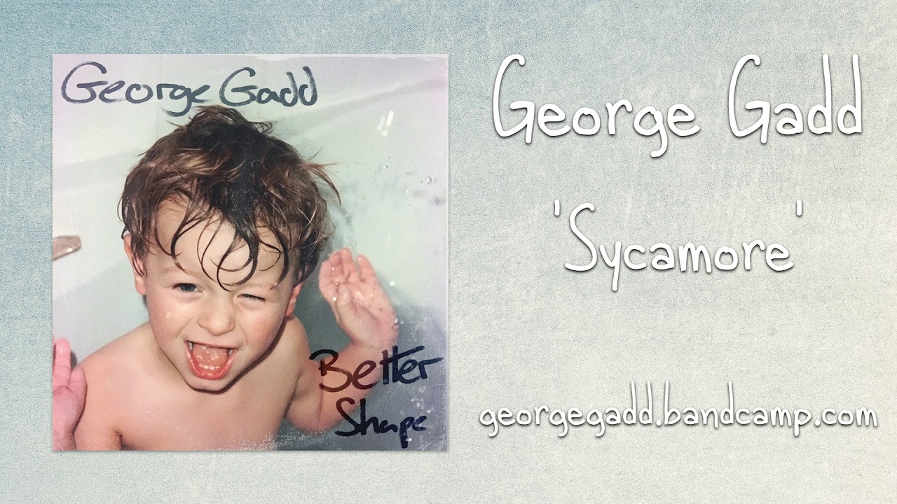 George Gadd - Sycamore (Better Shape)