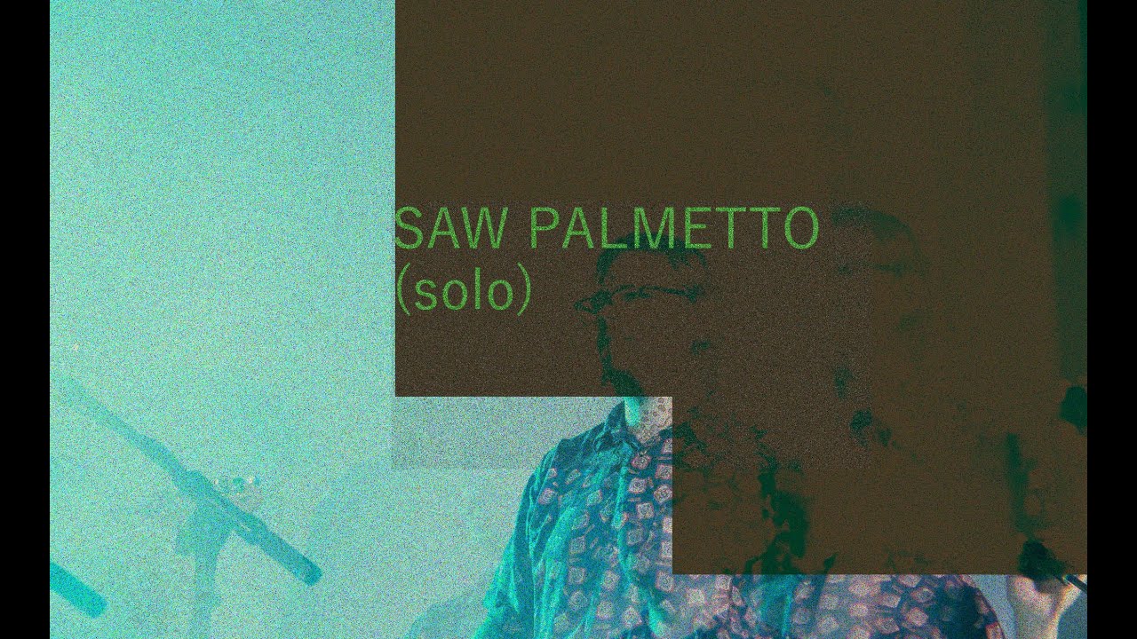 SEACATS - SAW PALMETTO (solo)