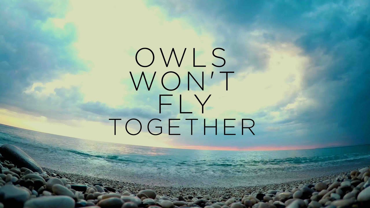 Fear Of Apathy - Owls Won't Fly Together (Official Lyric Video)