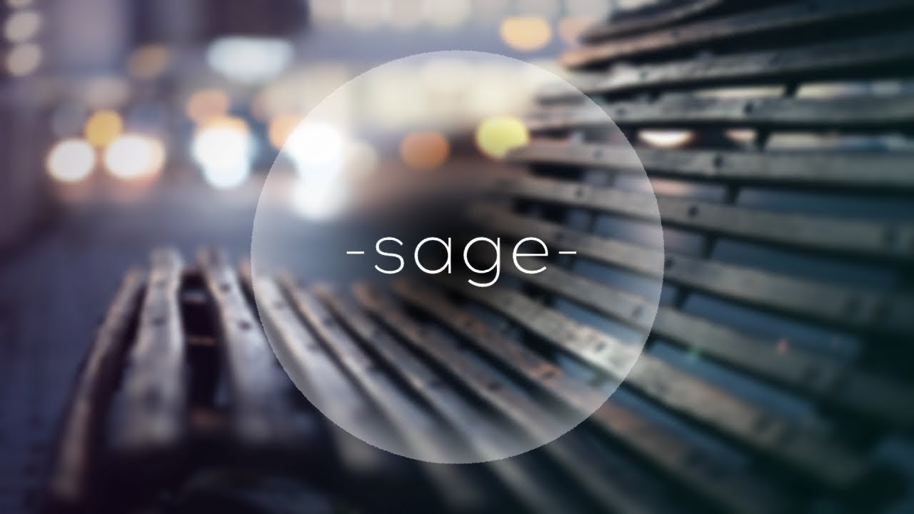 Sage - Like It or Not