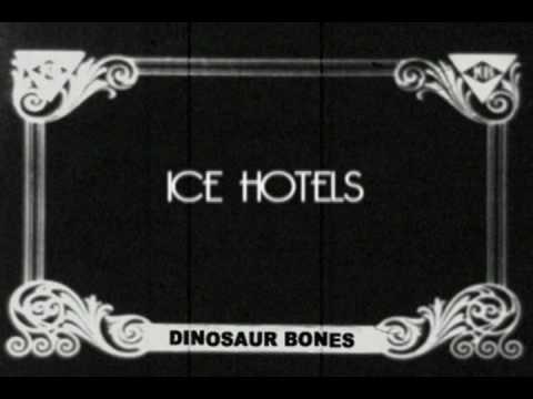 Dinosaur Bones - Ice Hotels