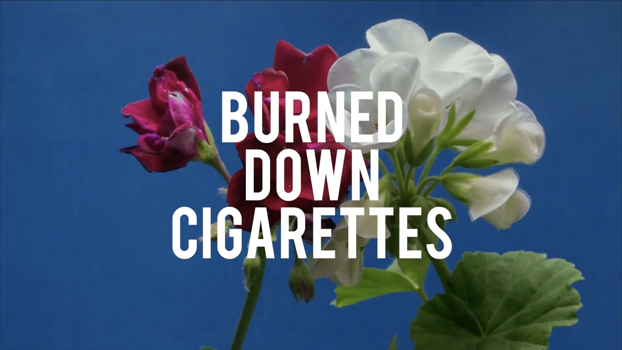 Midnight Ambassador - Burned Down Cigarettes (Lyric Video)