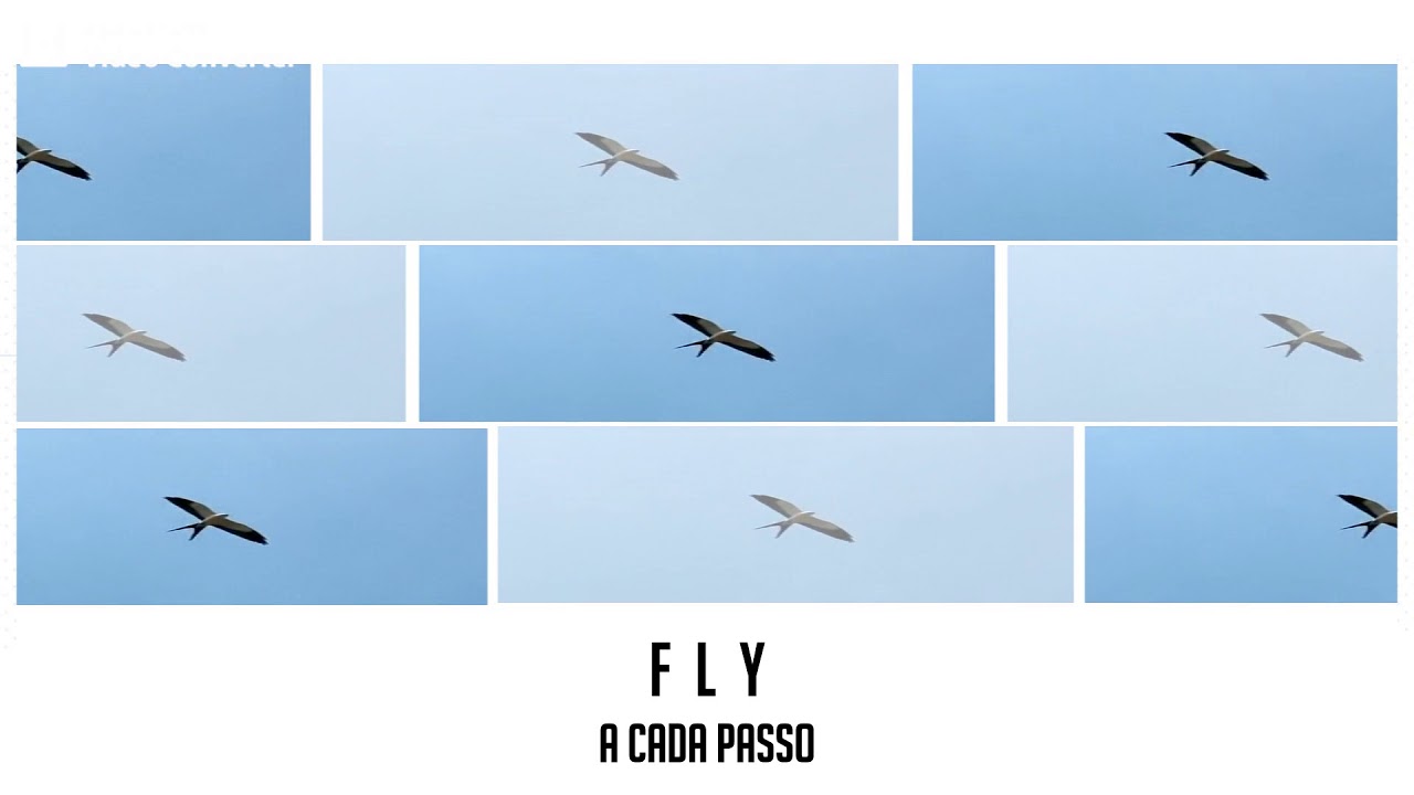 Fly { Prod. Yondo} Lyric