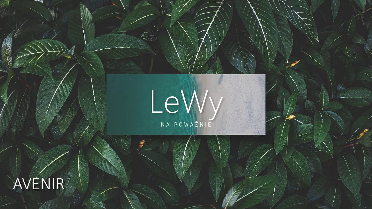 LeWy - Na Poważnie (Official Audio)