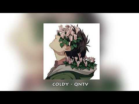 Coldy -  QNTV