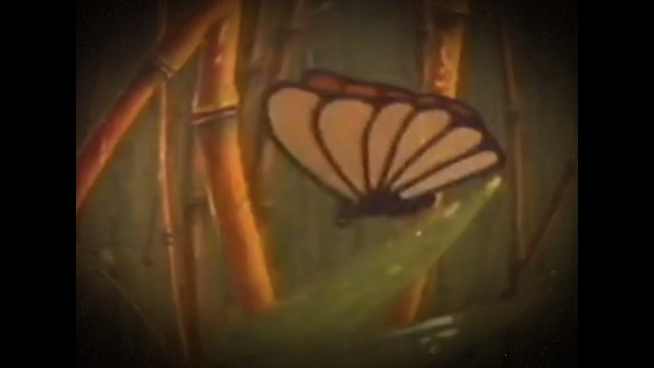 Johnny Stimson - Butterflies (Official Lyric Video)