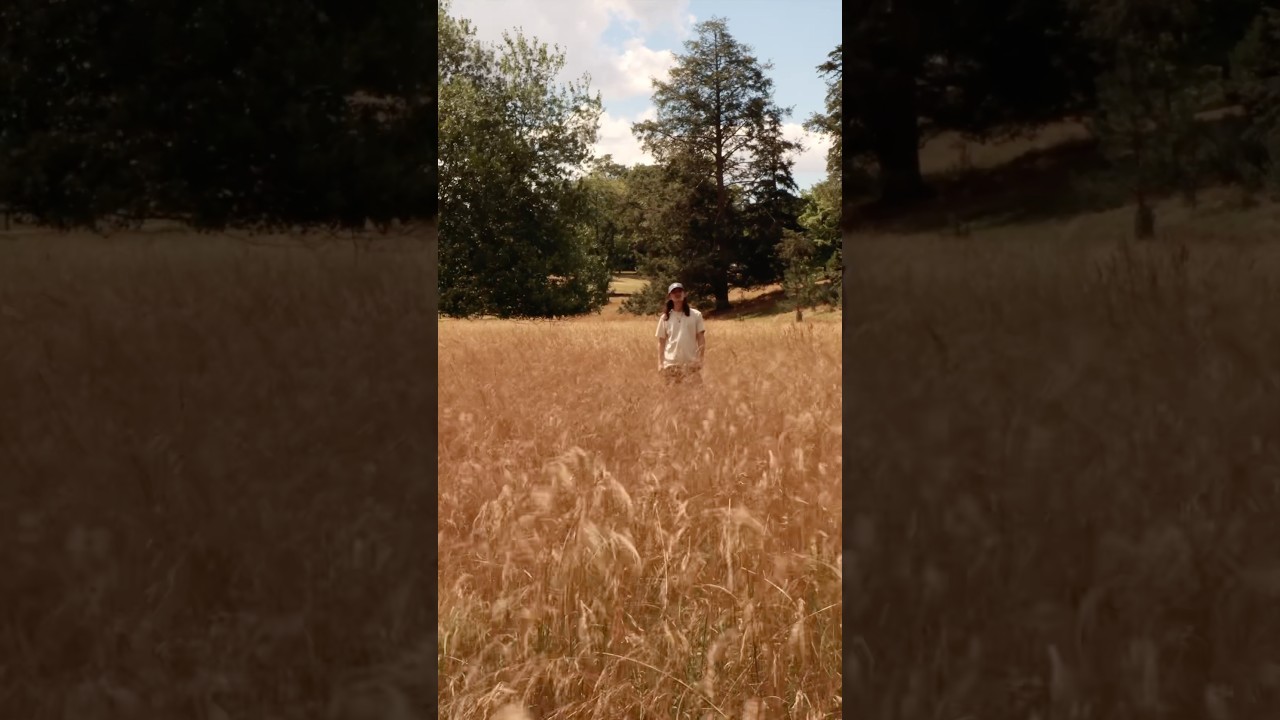 “Who you were” out now #altcountry #americana #natehadley #folkmusic
