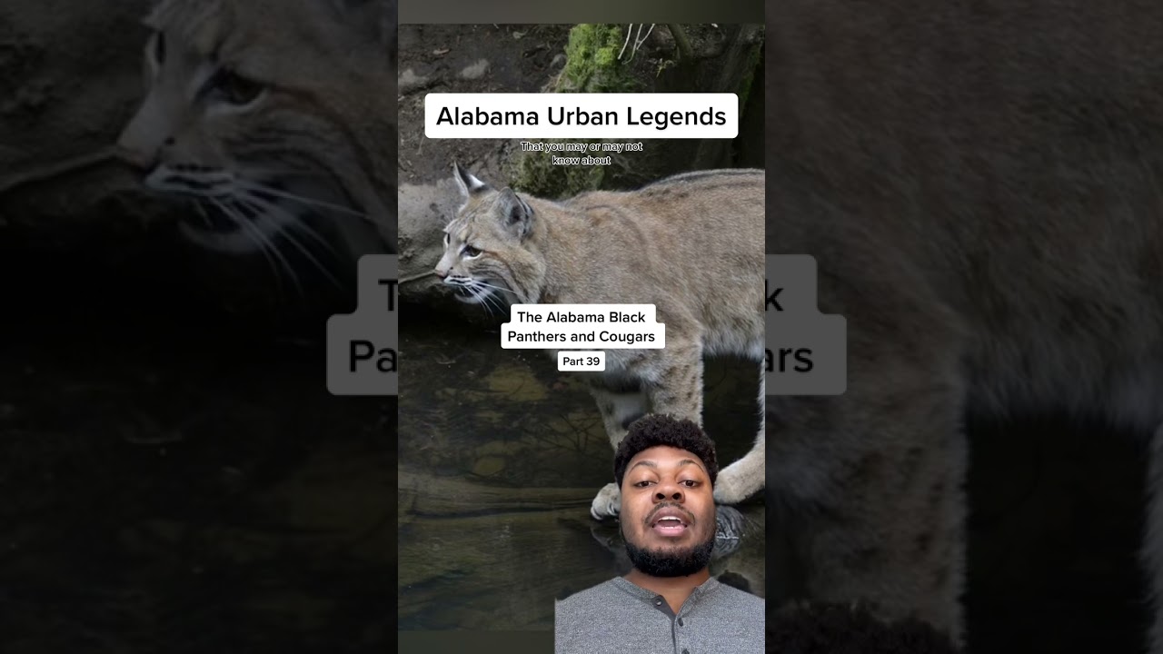 Alabama Urban Legends Part 39 #fyp #alabama #alabamatiktok #animalsdoingthings #animals