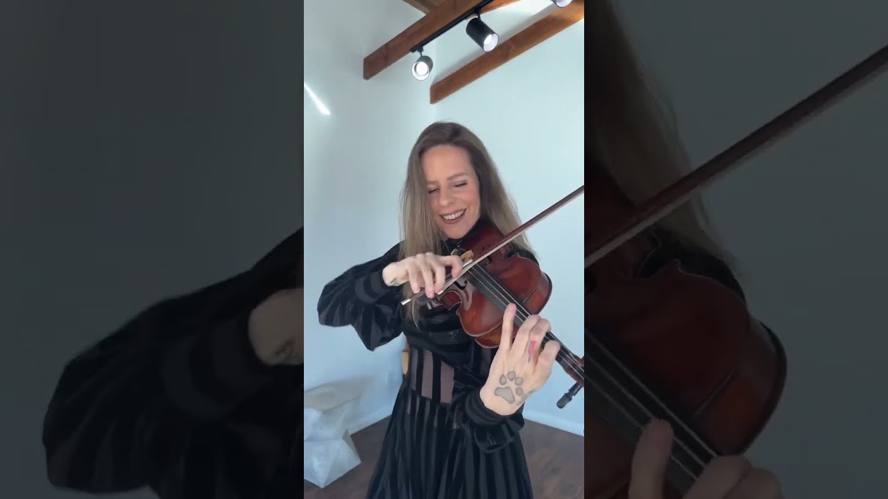Who thinks we can get @doechii to rap over this?  #doechii #classicalcovers #stringquartet