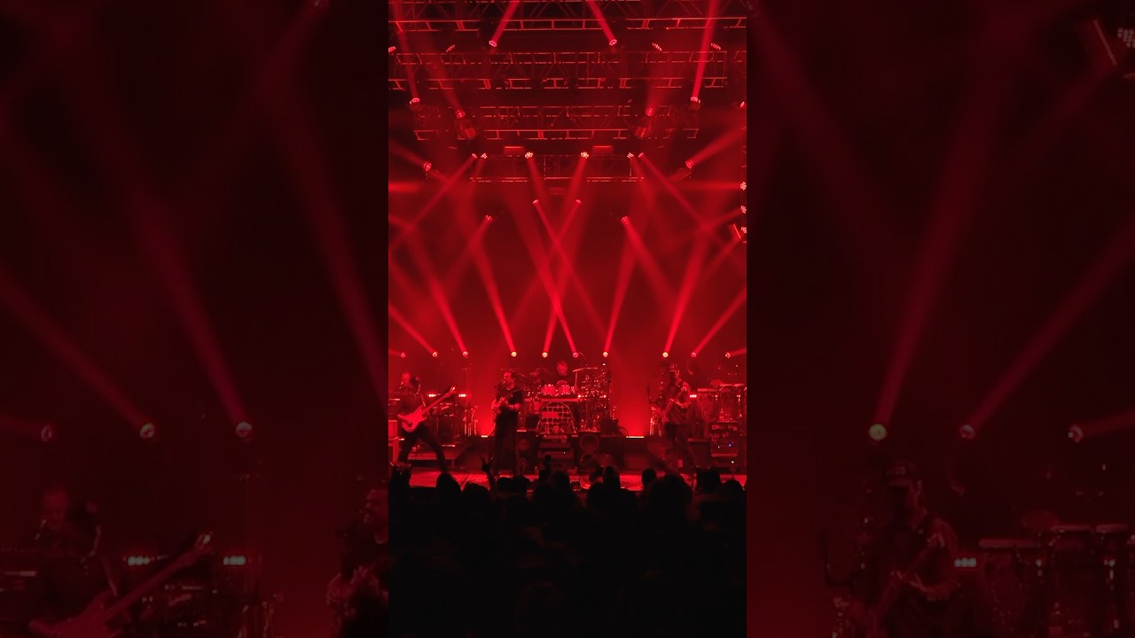 Roses are red. So are these lights. Play this song. And you’ll get lucky tonight. ❤️