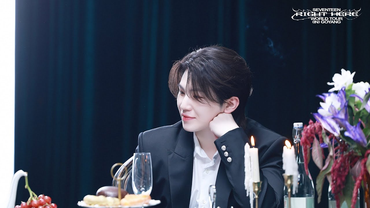 SEVENTEEN WORLD TOUR [RIGHT HERE] (WOOZI FOCUS)