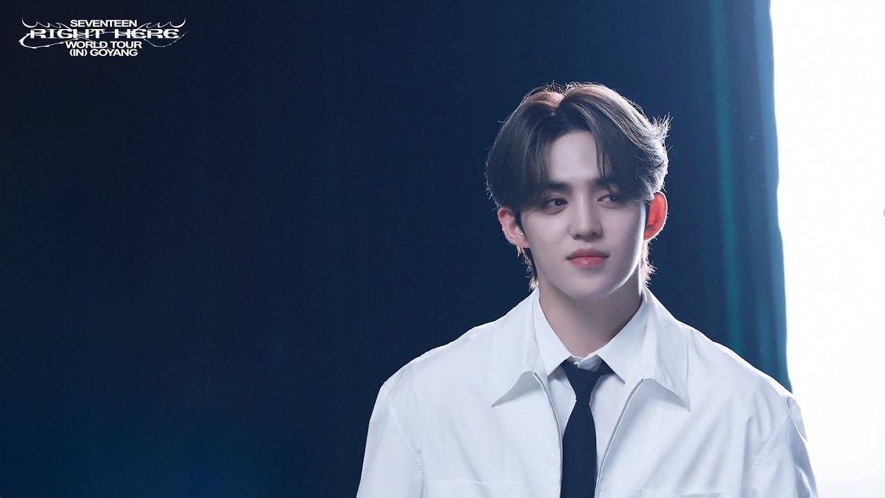 SEVENTEEN WORLD TOUR [RIGHT HERE] (S.COUPS FOCUS)