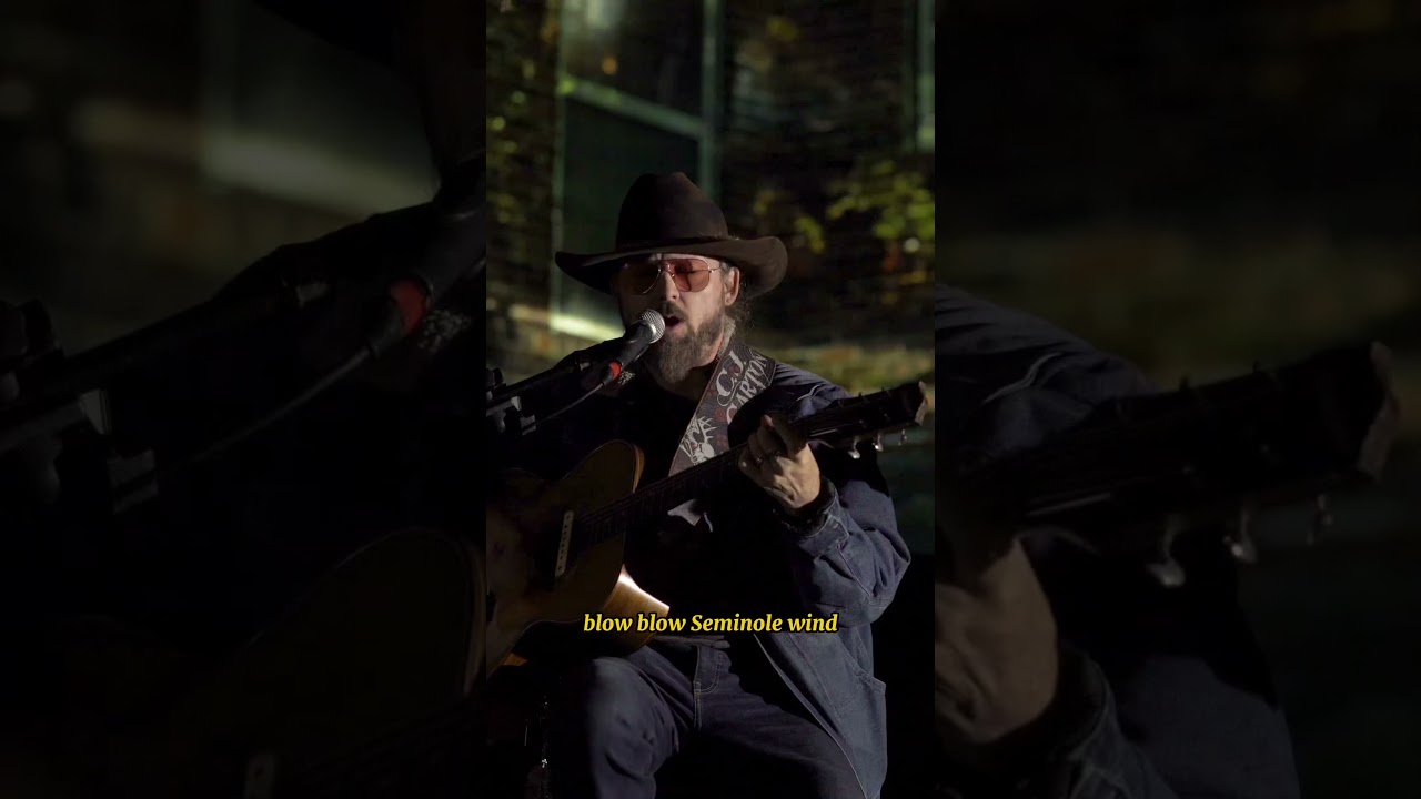 Seminole Wind #shorts #country #classiccountry #realcountrymusic #johnanderson #request