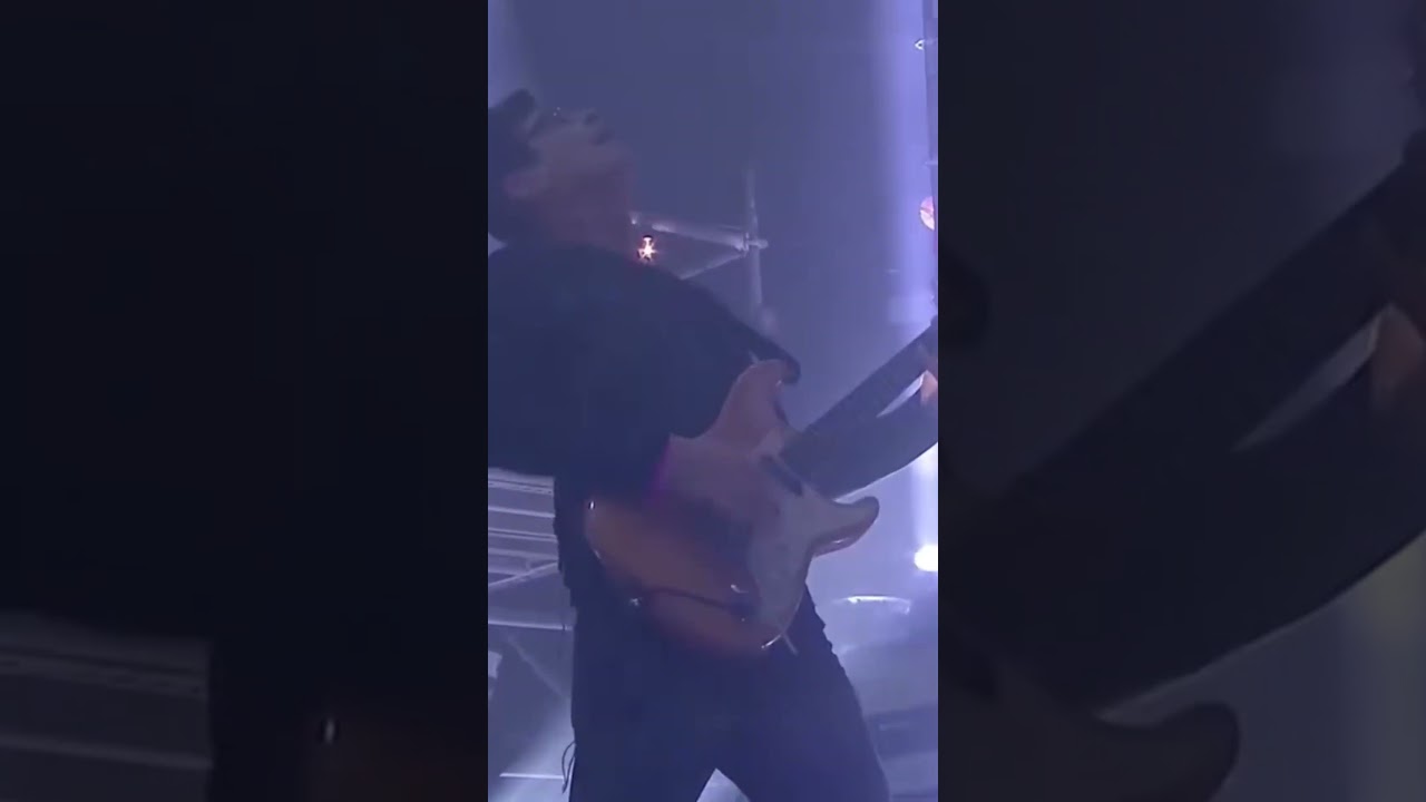 Dive Into the Trance Vortex: Infected Mushroom Live #shorts