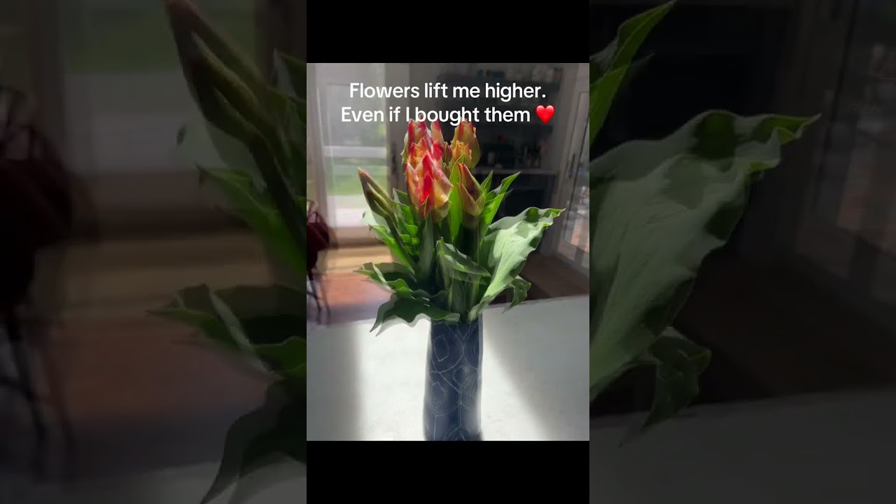 What lifts you higher?