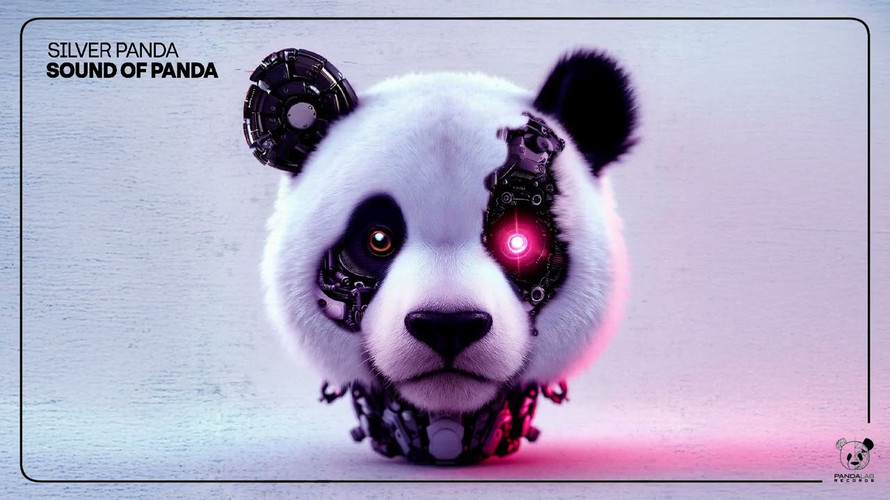 Silver Panda - Sound of Panda (Original Mix)