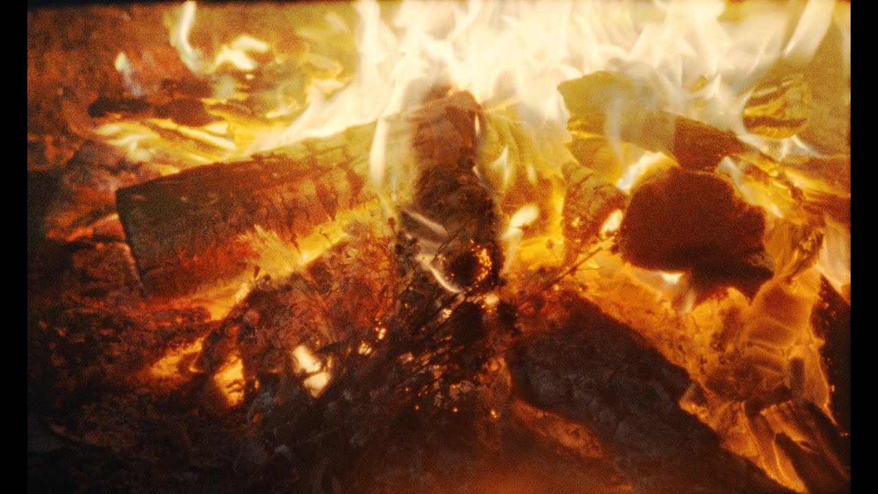 Half Moon Run - Another Woman [Official Visualizer]