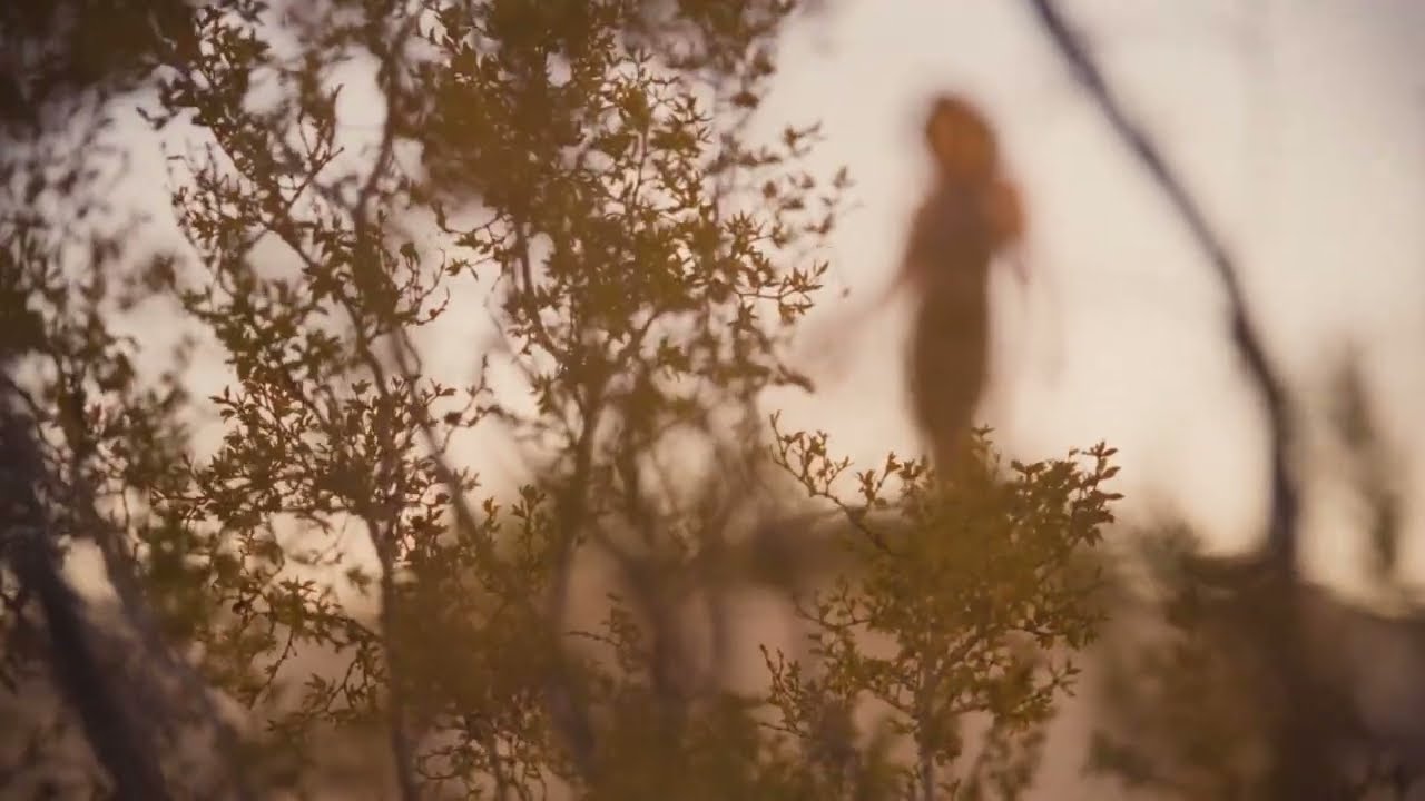 Grace Potter - Goodbye Kiss (Micro Film no. 8)